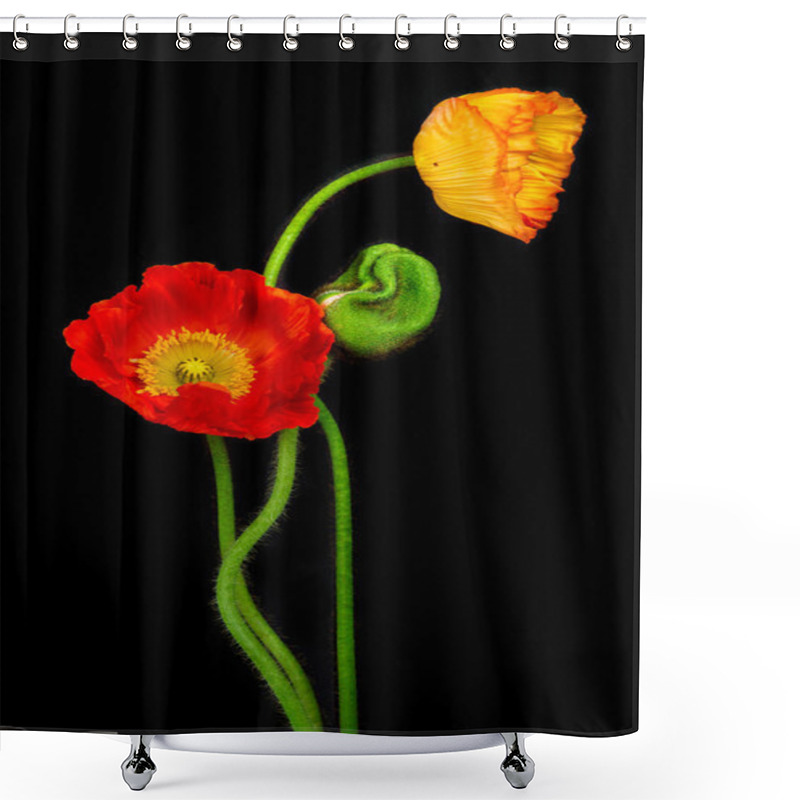 Personality  Red Poppies Shower Curtains