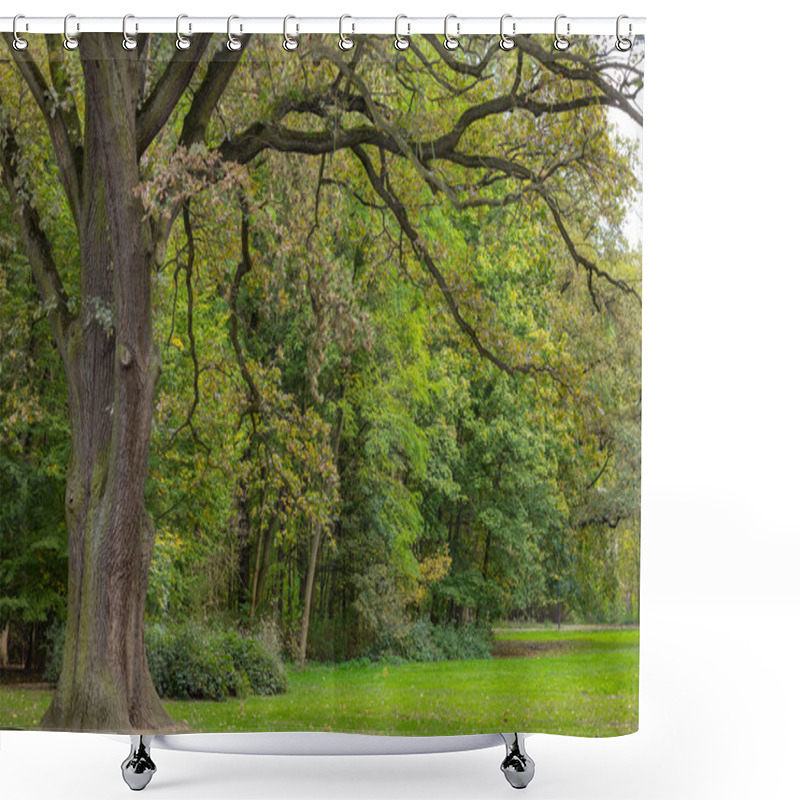 Personality  Majestic Old Oak Tree In A Peaceful Park With Lush Green Grass And Forest Backdrop On A Calm Autumn Day. Concept Of Nature, Tranquility, And Outdoor Scenery Shower Curtains