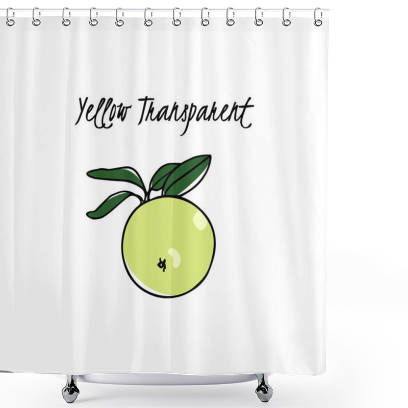 Personality  Hand Drawn Apple Tree Branch Shower Curtains