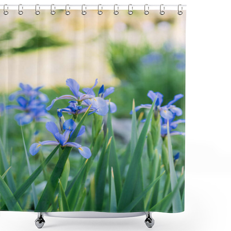 Personality  Close Up View Of Blue Iris Flowers  Shower Curtains