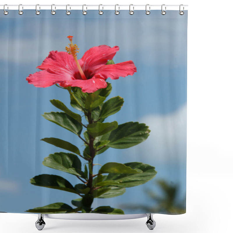 Personality  Red Hibiscus Against Blue Sky Shower Curtains