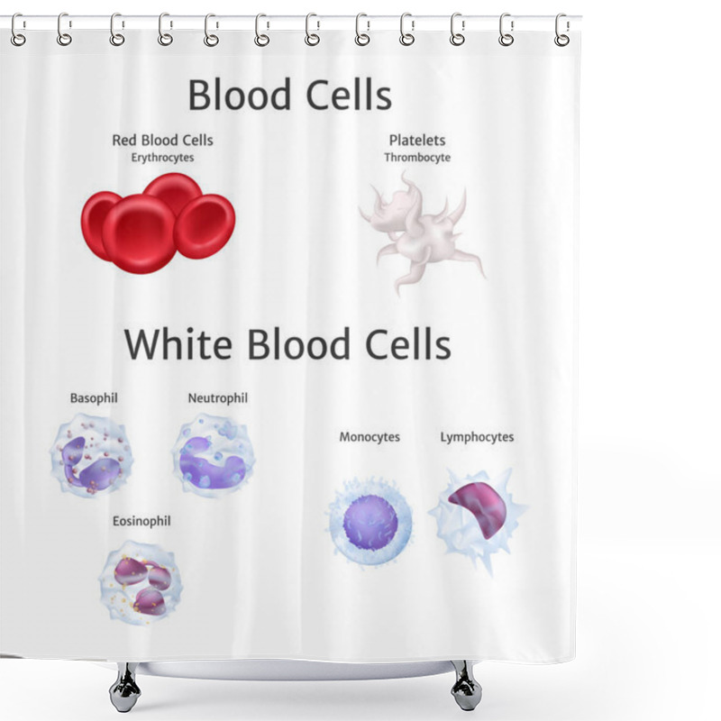 Personality  Hemoglobin And White Blood Cells Lymphocytes In Blood Plasma Vector Shower Curtains