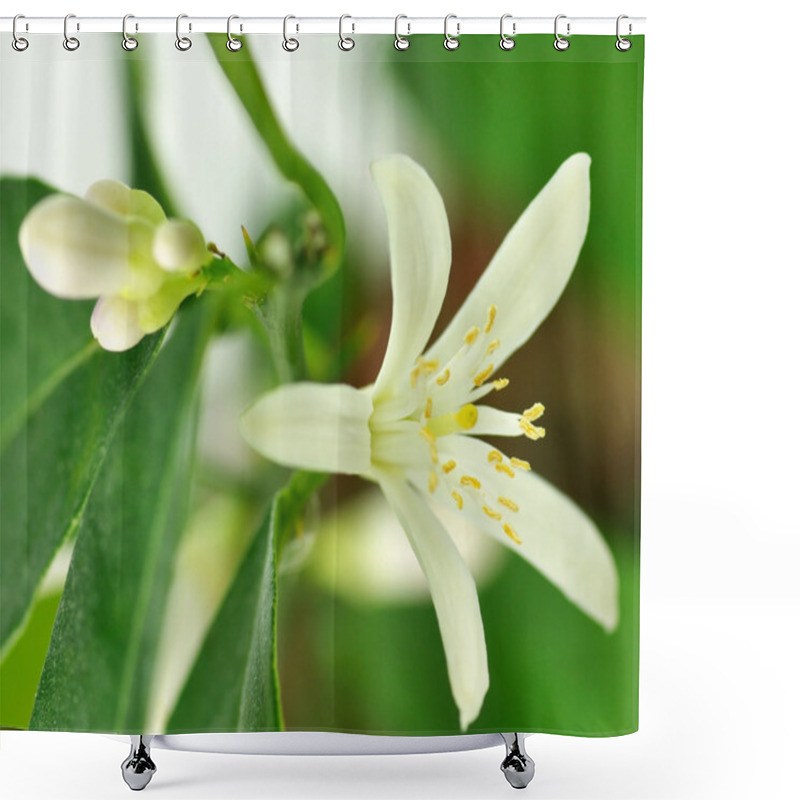 Personality  Lemon Flower Shower Curtains