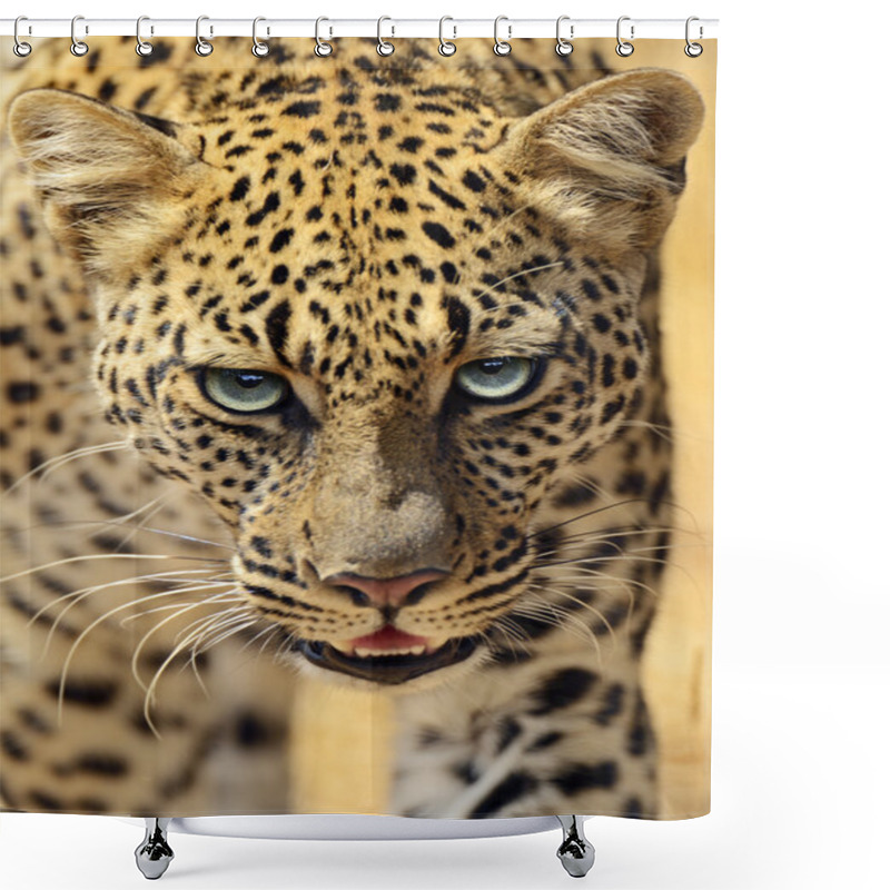 Personality  Leopard Shower Curtains