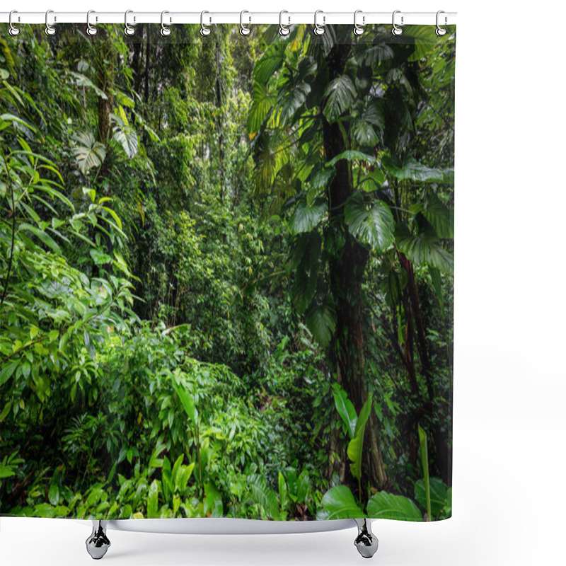 Personality  Panama Rainforest. Exotic Landscape. Natural Tropical Forest Atmosphere. Central America.  Shower Curtains