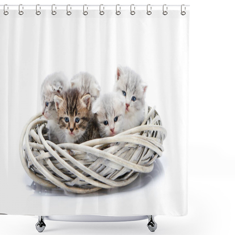 Personality  Small Newborn Fluffy Adorable Kittens Sitting Together In White Wicker Wreath Isolated On White Background In Photo Studio Shower Curtains