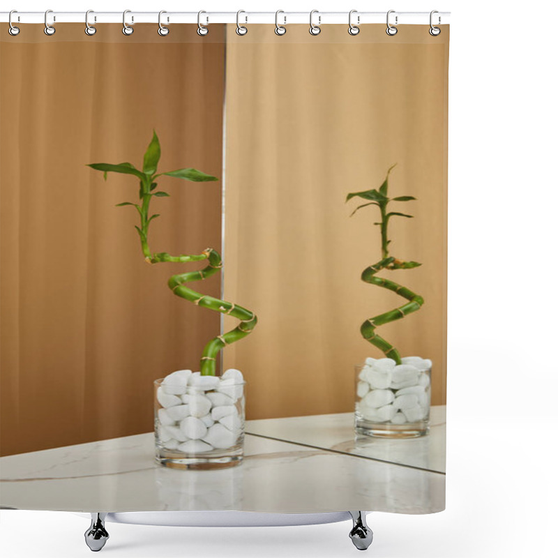 Personality  Green Bamboo Stem In Vase With Stones And Mirror On White Marble Table And Beige Background Shower Curtains