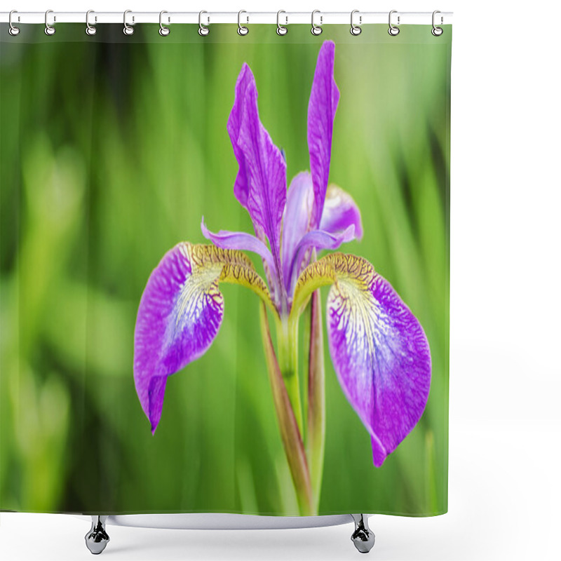 Personality  Poetic Purple Flower Shower Curtains