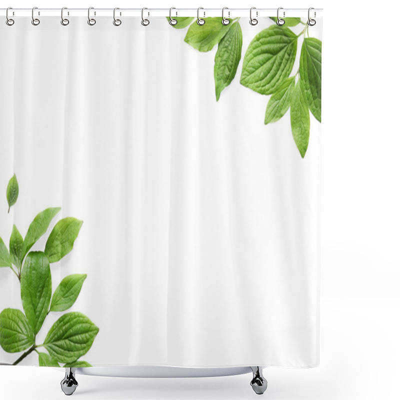 Personality  Beautiful Spring Green Leaves On White Background, Top View. Space For Text Shower Curtains