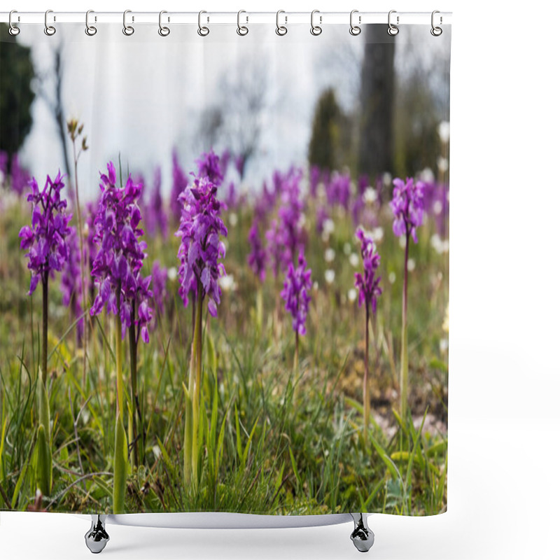 Personality  Early Purple Orchids, Orchis Mascula, In A Bright Low Angle Image From The Swedish Island Oland Shower Curtains