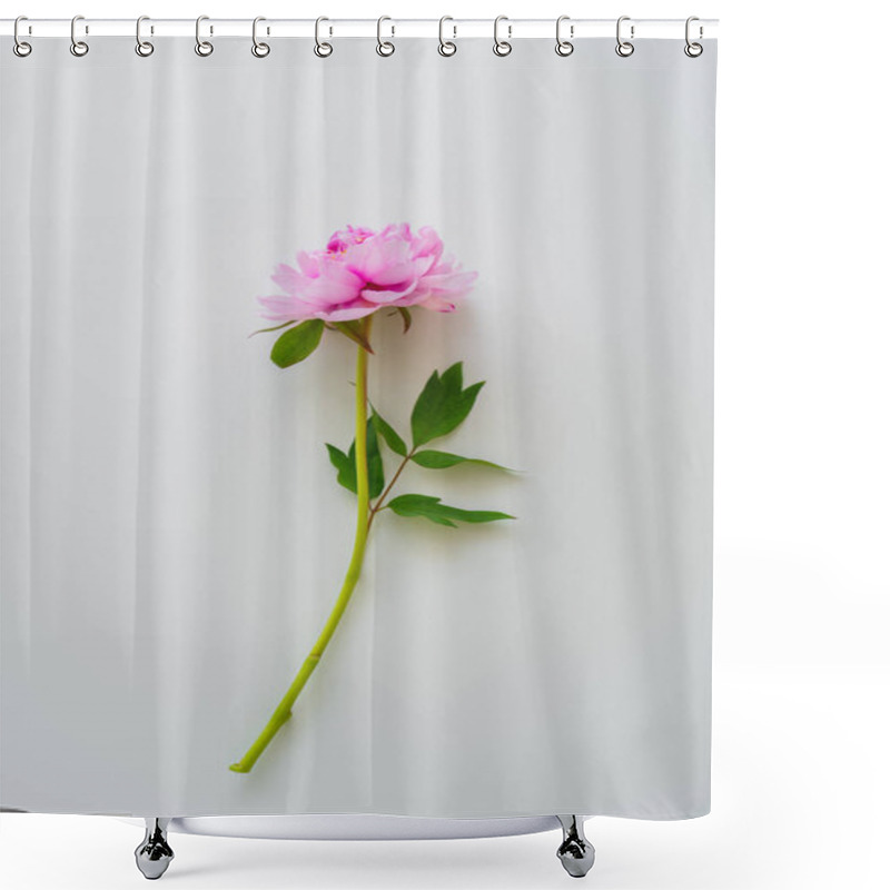 Personality  Top View Of Natural Pink Peony With Green Leaves On White Background Shower Curtains