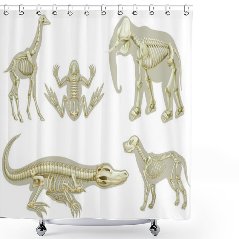 Personality  Skeletons Of Animals Shower Curtains