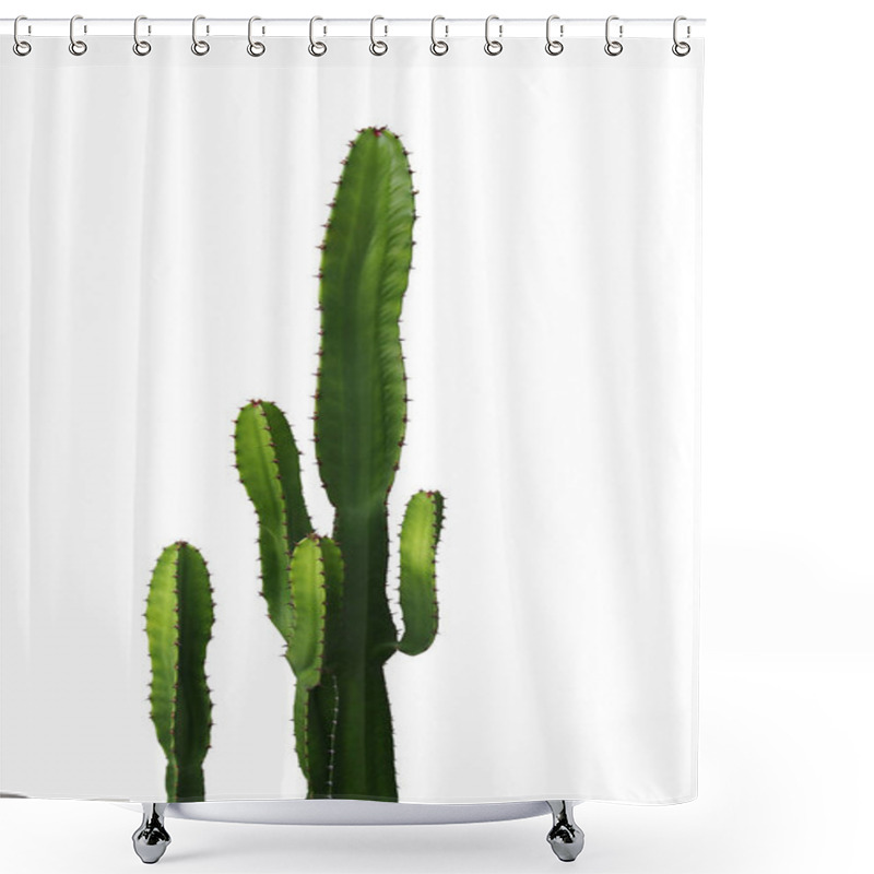 Personality  Ornamental Spiny Plant With Green Succulent Stems Of Cactus Isolated On White Background, Clipping Path Included. Shower Curtains