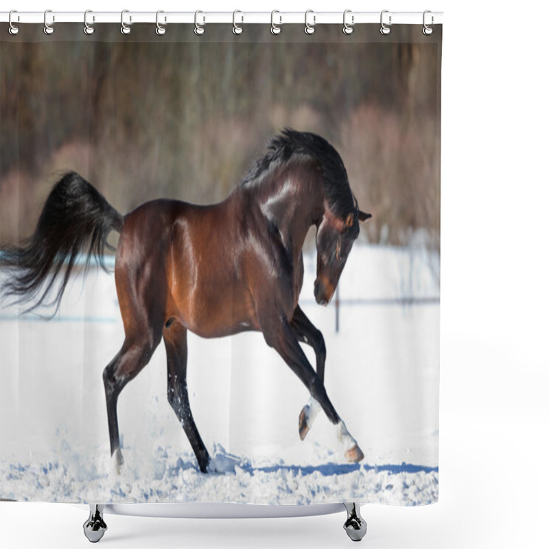 Personality  Brown Horse Running In The Snow Shower Curtains