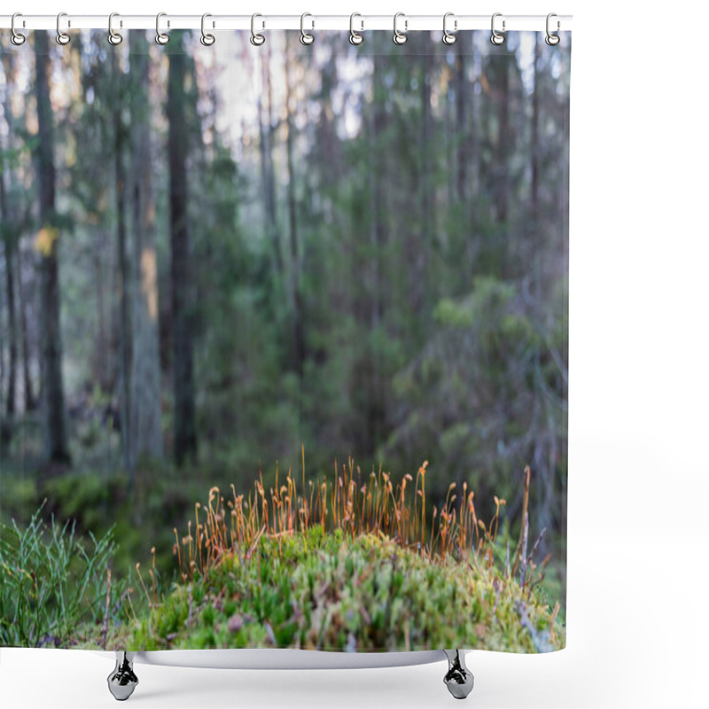 Personality  Moss Seeds Closeup Shower Curtains