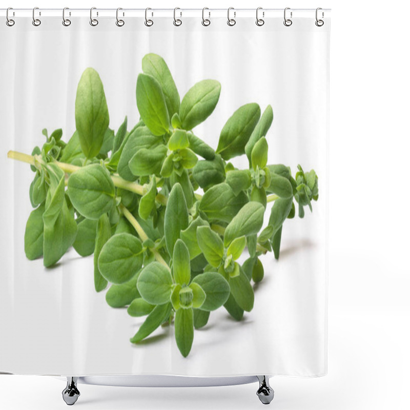 Personality  Marjoram (Origanum Majorana), Paths Shower Curtains