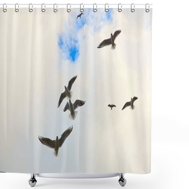 Personality  A Flock Of Seagulls Flying By The Lighthouse In Kolobrzeg, Poland. Shower Curtains