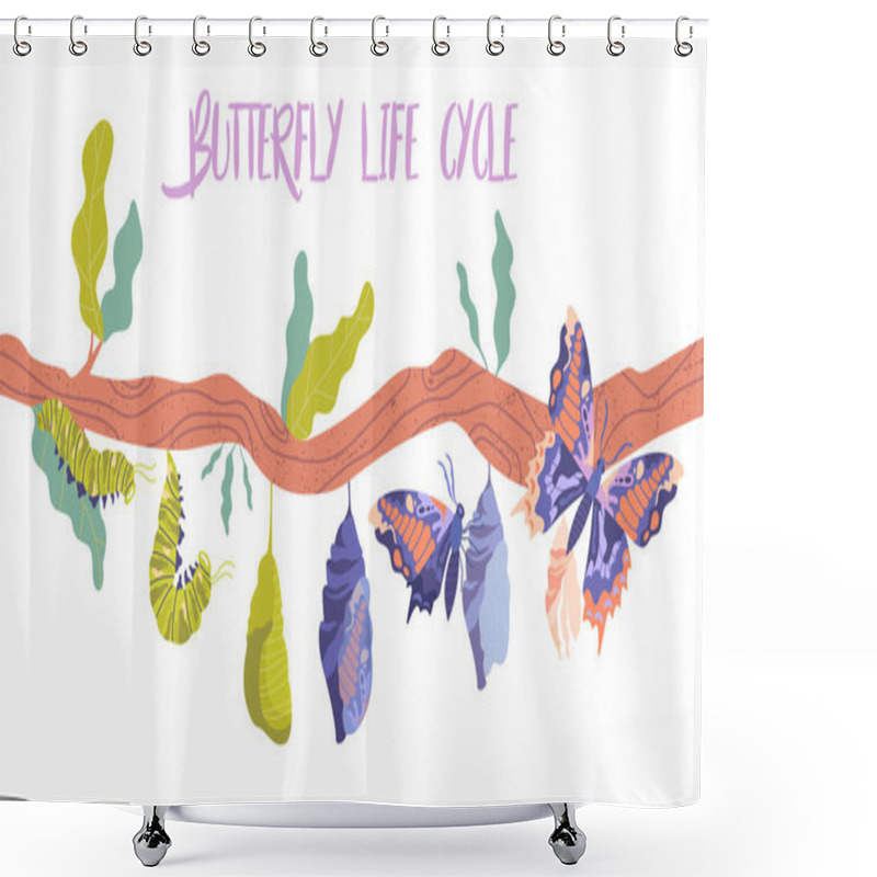 Personality  Life Cycle And Metamorphosis Of A Butterfly From Caterpillar Shower Curtains