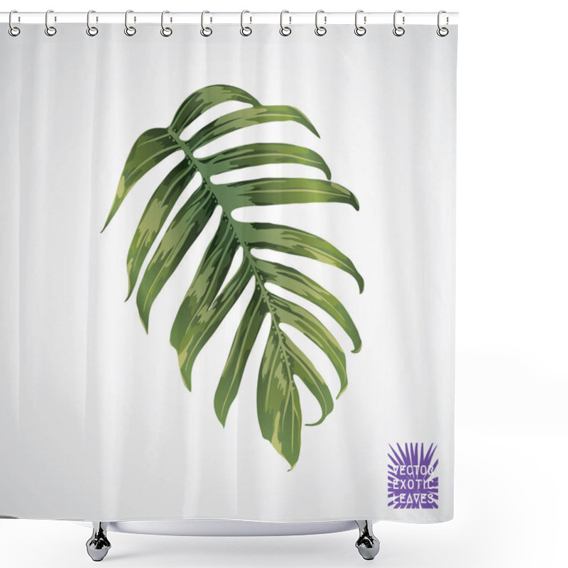 Personality  Vector Green Palm Leaf.  Shower Curtains