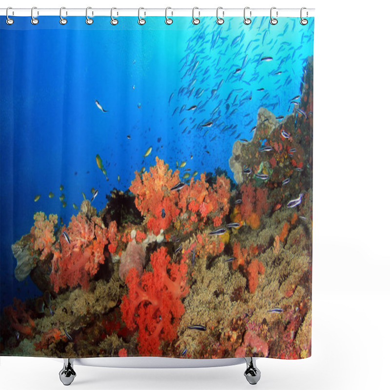 Personality  Colorful Coral Reef With Schools Of Fish Against Blue Water. Pescador Island, Moalboal, Philippines Shower Curtains