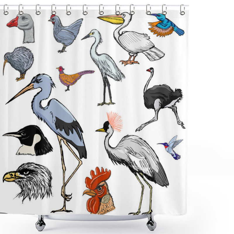 Personality  Set Of Birds With Hummingbird, Heron And Kiwi Shower Curtains