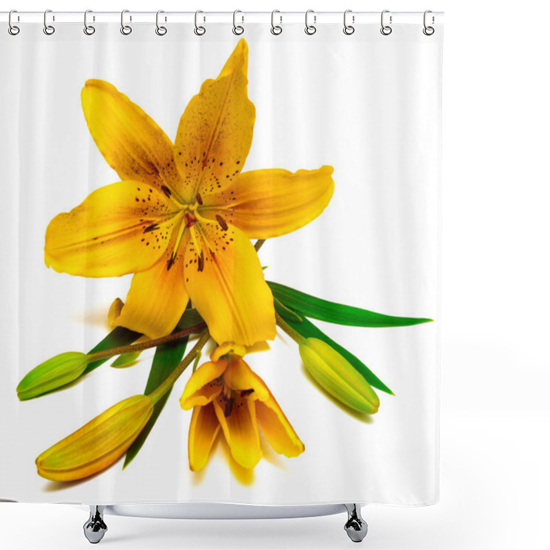 Personality  Yellow Lily Flower With Buds Shower Curtains