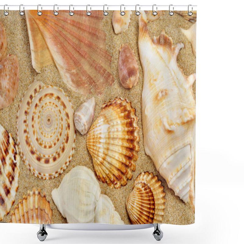 Personality  Some Seashells On The Sand Of A Beach Shower Curtains