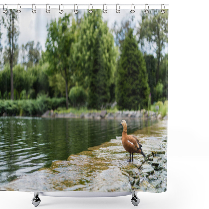 Personality  Selective Focus Of Gull Standing In River With Flowing Water  Shower Curtains