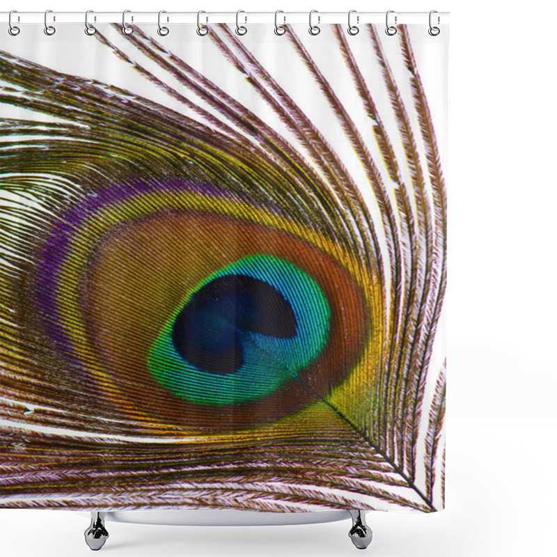 Personality  Detail Of Peacock Feather Eye Shower Curtains