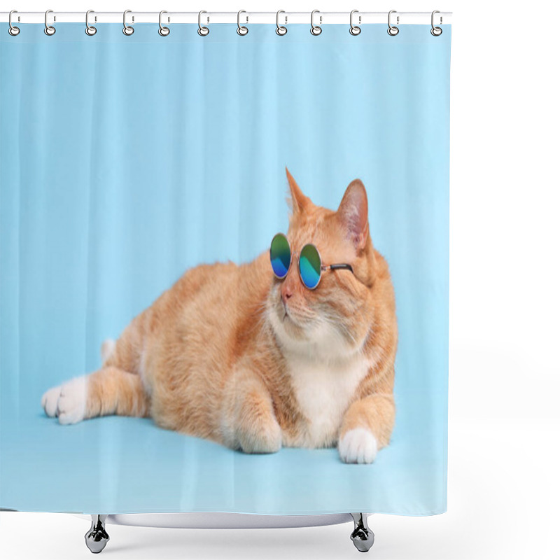 Personality  Cute Ginger Cat In Stylish Sunglasses Lying On Light Blue Background Shower Curtains