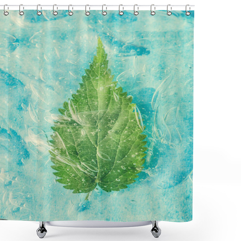 Personality  Green Natural Leaf In Water Or Cold Drink. Healty Food Concept. Minimal Nature Background. Flat Lay. Shower Curtains