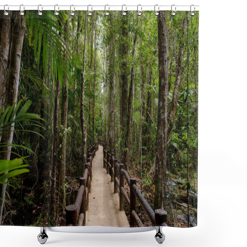 Personality  Southeast Asian Tropical Rainforest With Path, Thailand. Jungle Landscape. Idea And Concept Of Adventure, Recreation From The Noise Of The City Shower Curtains