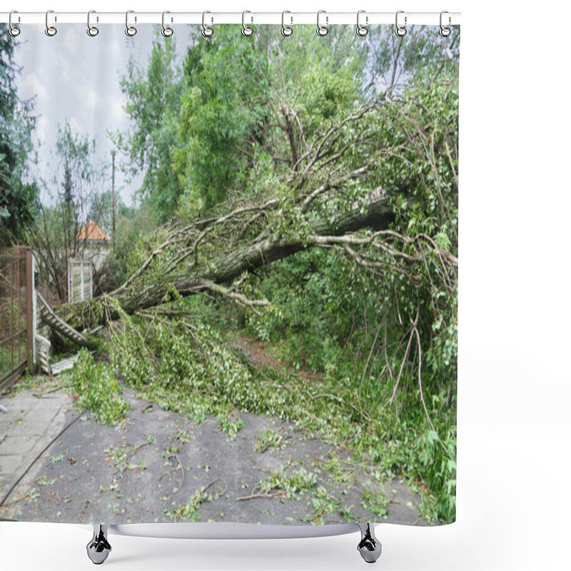 Personality  Damaged Fallen Tree Shower Curtains