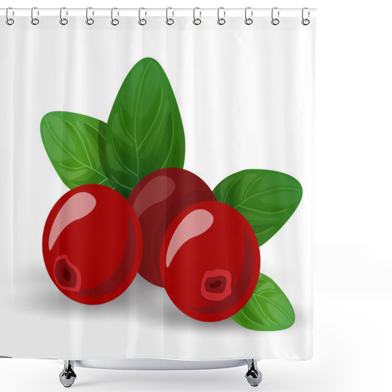 Personality  Fresh Berries Shower Curtains