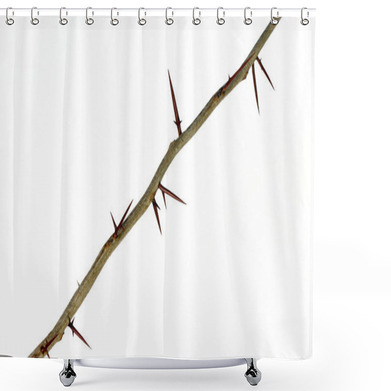 Personality  A Branch Of A Tree With Sharp Long Xiphoid Thorns On A White Background. Shower Curtains