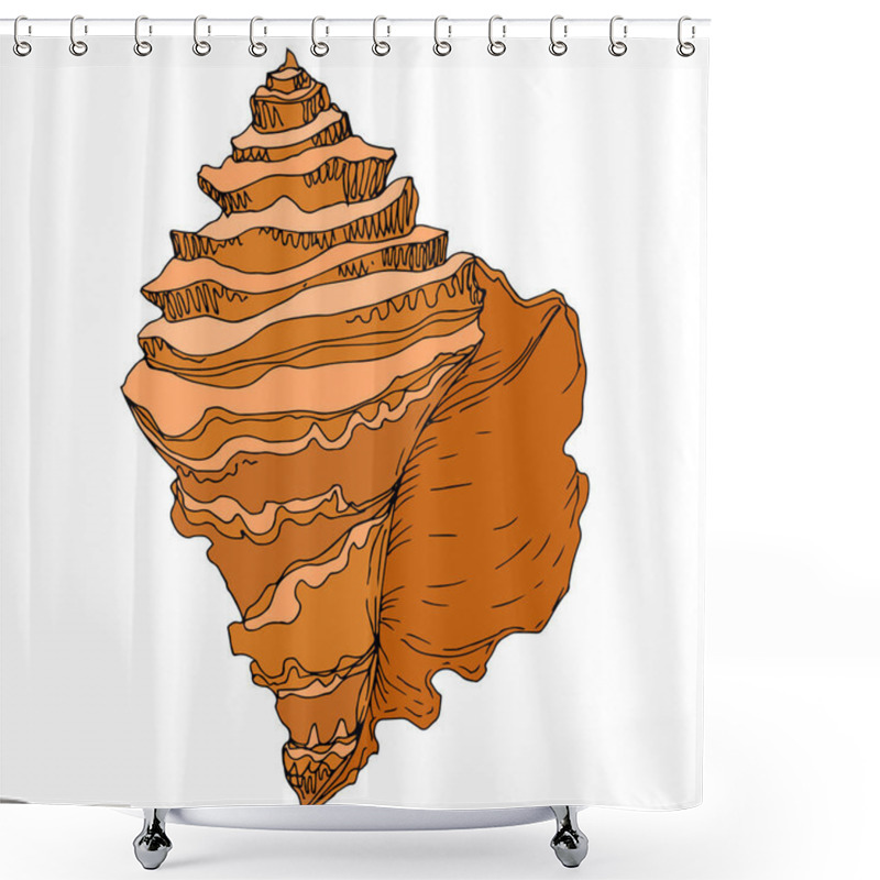 Personality  Summer Beach Seashell Tropical Elements. Black And White Engraved Ink Art. Isolated Shells Illustration Element. Shower Curtains