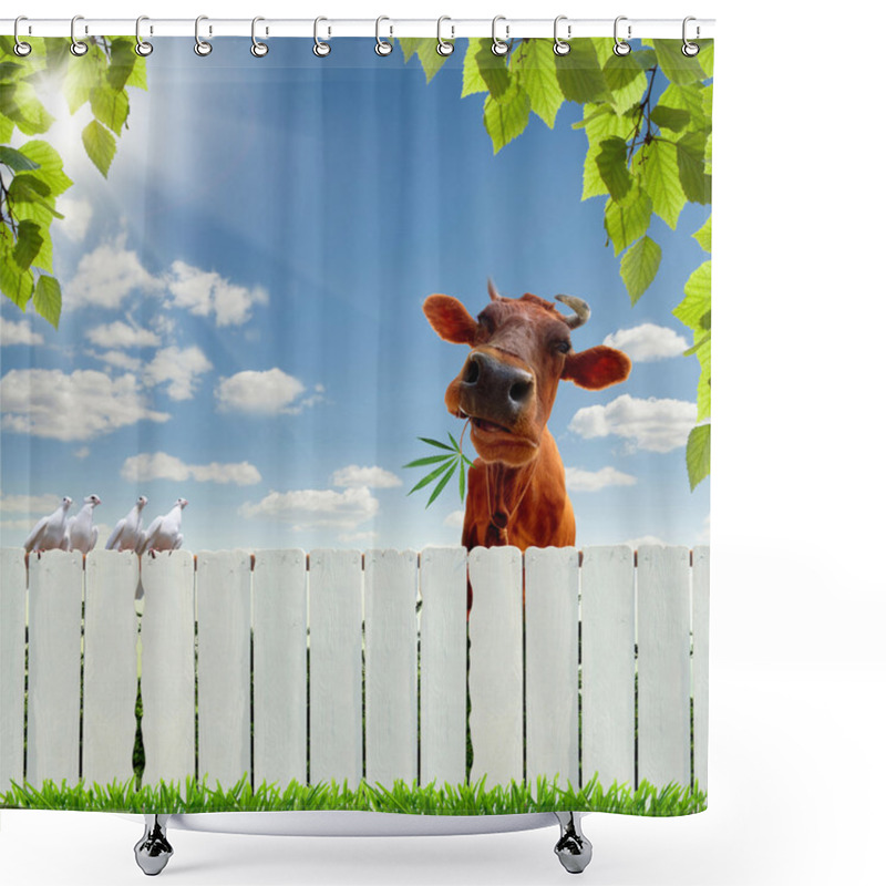 Personality  Cow With Marijuana Over The Fence Shower Curtains