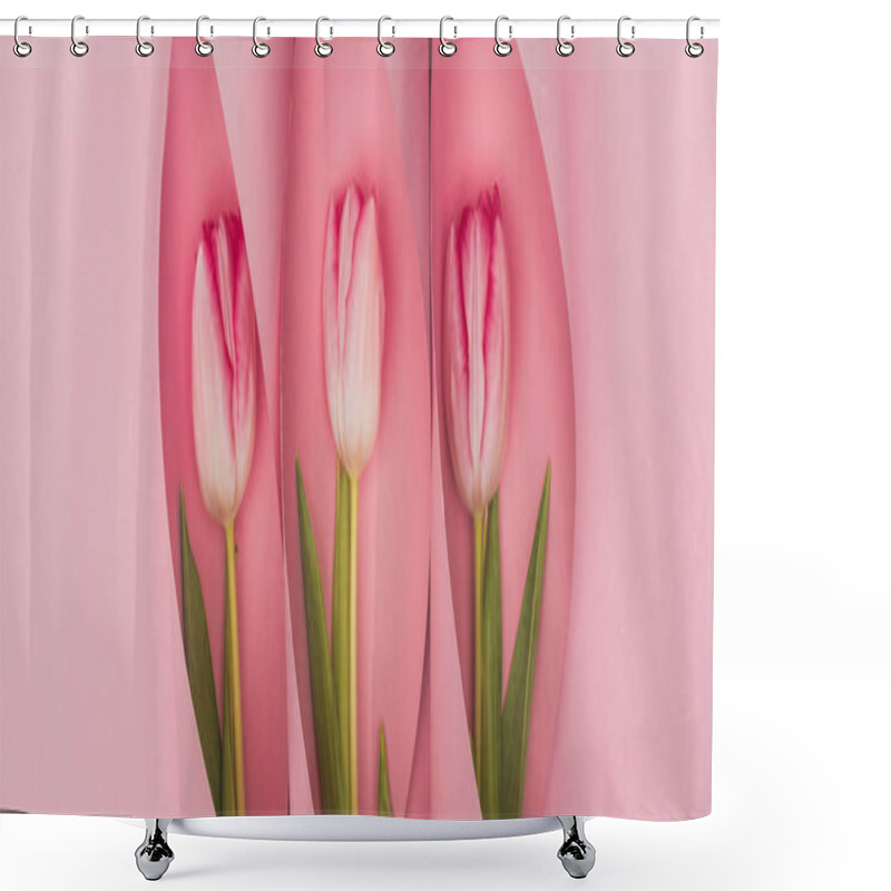 Personality  Top View Of Tulips In Paper Swirls On Pink Background, Panoramic Shot Shower Curtains