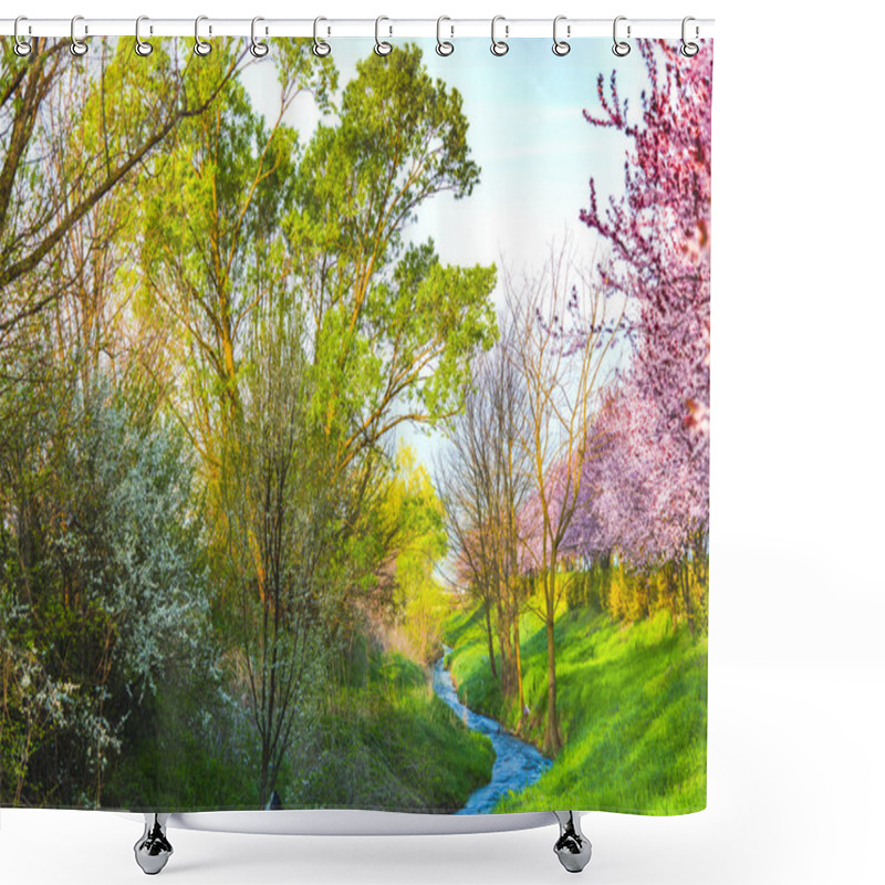 Personality  Garden With Blooming Sakura Trees In Spring Shower Curtains