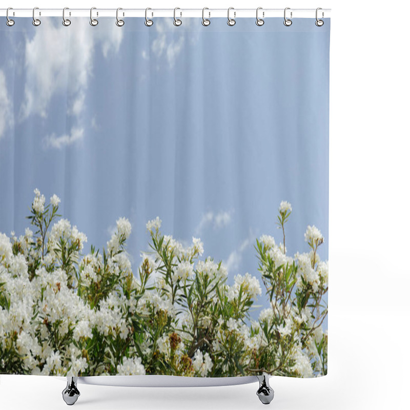 Personality  Low Angle View Of Plant With White Flowers And Blue Sky With Clouds At Background  Shower Curtains