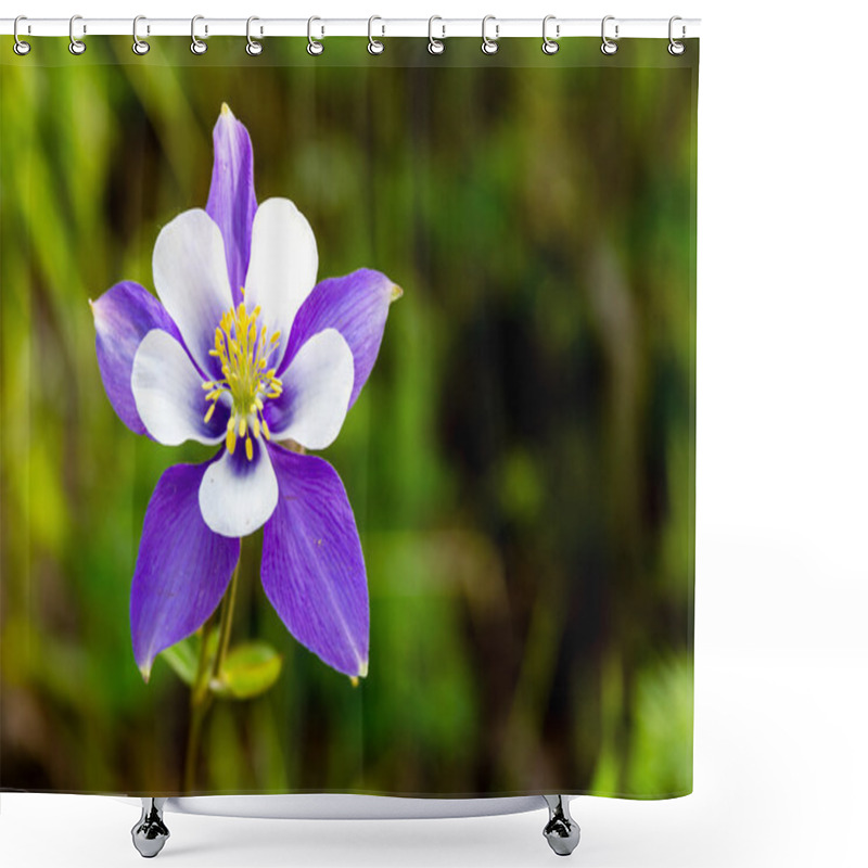 Personality  Blooming Blue Columbine Flowers Shower Curtains