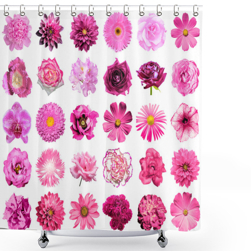 Personality  Collage Of Natural And Surreal Pink Flowers 30 In 1: Peony, Dahlia, Primula, Aster, Daisy, Rose, Gerbera, Clove, Chrysanthemum, Cornflower, Flax, Pelargonium, Marigold, Tulip Isolated On White Shower Curtains