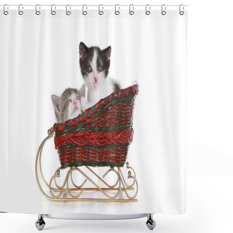 Personality  Kittens In A Santa Christmas Sleigh Shower Curtains