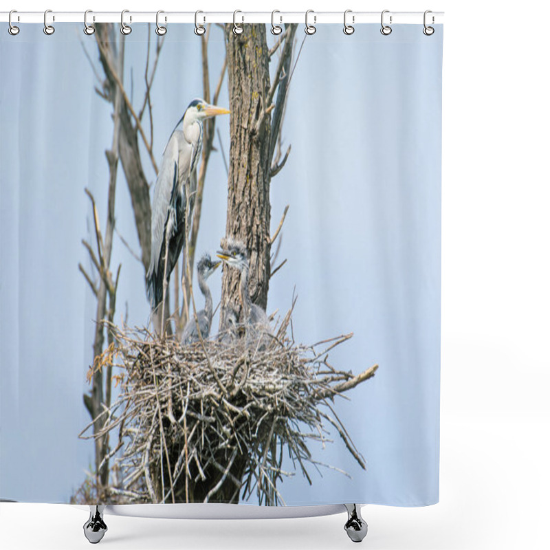 Personality  Grey Heron Shower Curtains