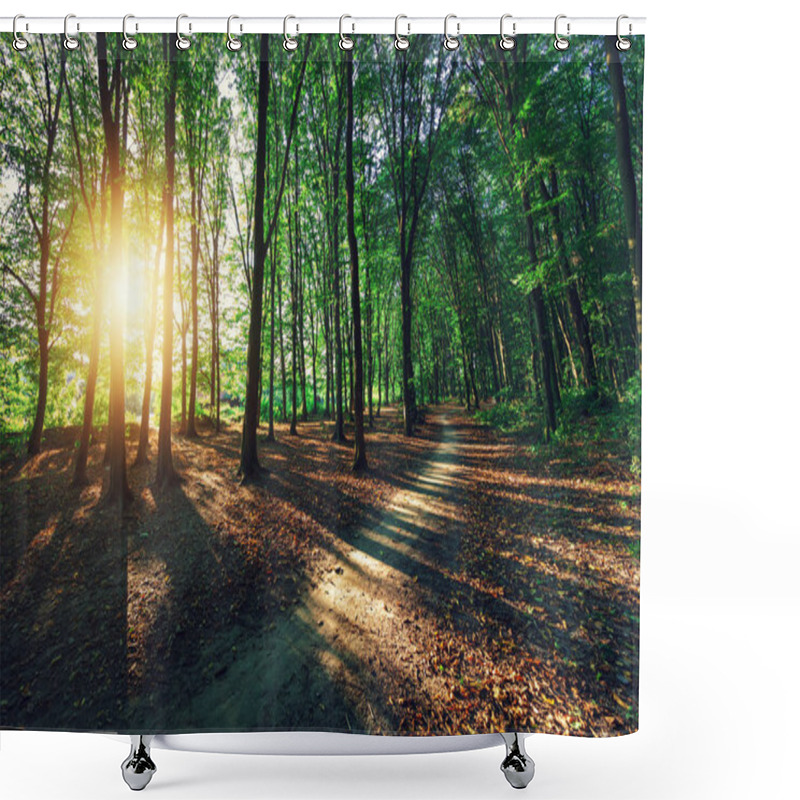 Personality  Beautiful Green Forest Shower Curtains