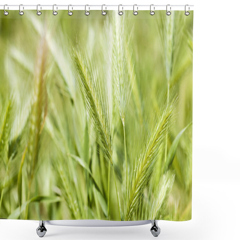 Personality  Wild Grass Shower Curtains