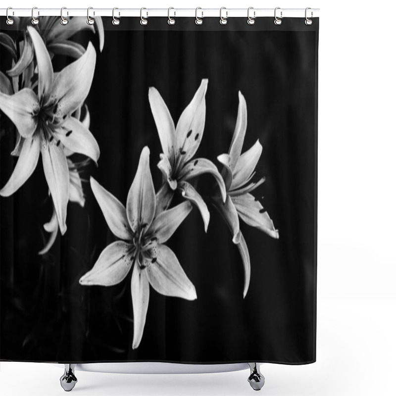 Personality  Black And White Flowers. Abstract Background Of Plants And Flower Silhouettes. Stylish Pattern. Contrast Image Shower Curtains