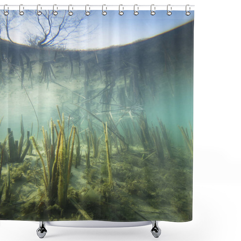 Personality  Beautiful And Romantic Underwater Landscape With Reed (Typha) In The Clear Pound. Underwater Shot In The Lake. Nature Habitat. Shower Curtains