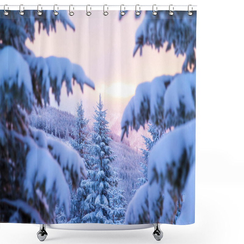 Personality  Beautiful Winter Forest Shower Curtains