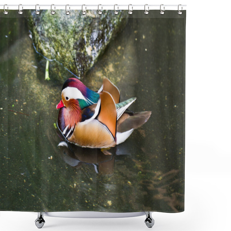 Personality  Mandarin Duck (Aix Galericulata) Male Shower Curtains